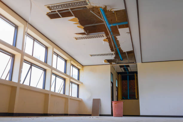 Best Water damage restoration specialists  in Waterbury, CT
