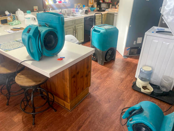 Best Water damage contractors near me  in Waterbury, CT