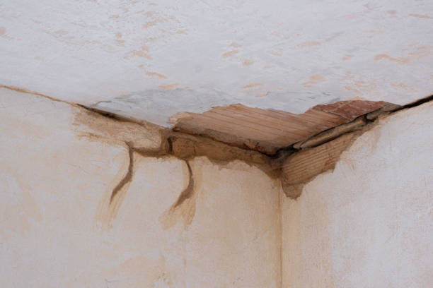 Best Water damage restoration near me  in Waterbury, CT