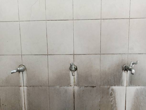 Best Basement water damage restoration  in Waterbury, CT