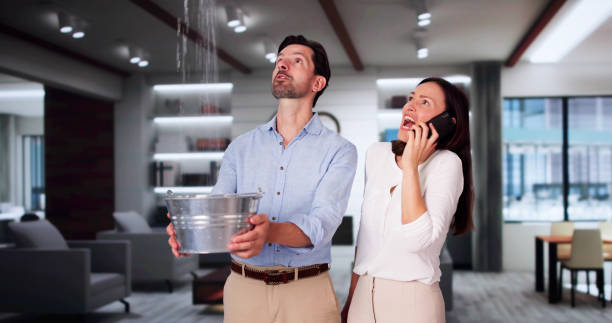 Best 24/7 water damage repair  in Waterbury, CT