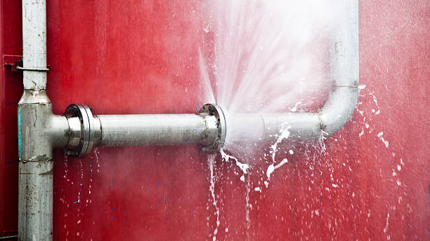 Best Mold removal after water damage  in Waterbury, CT